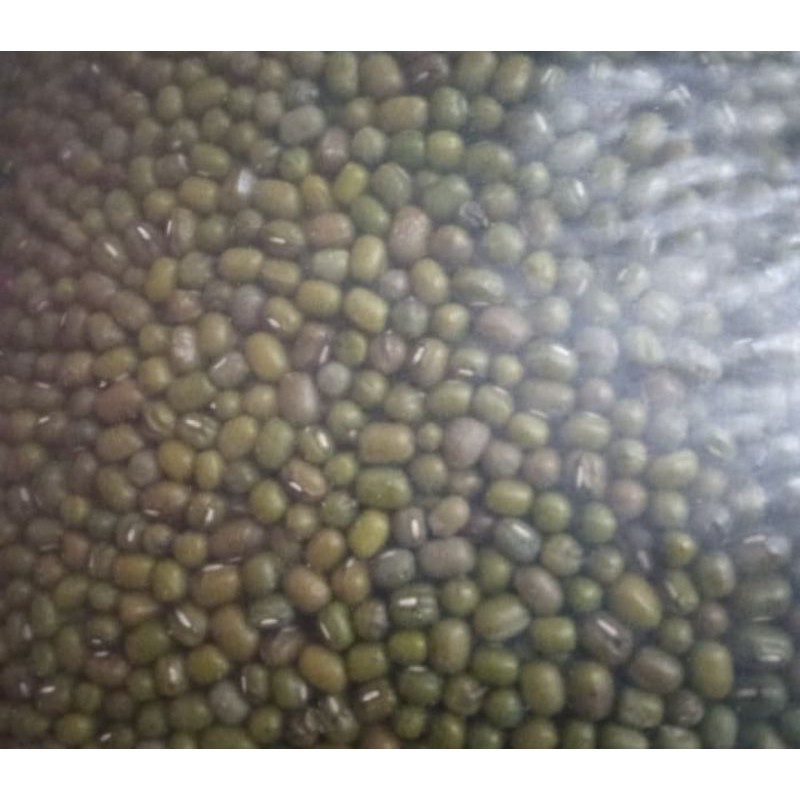 

Kacang Hijau 250 Gr