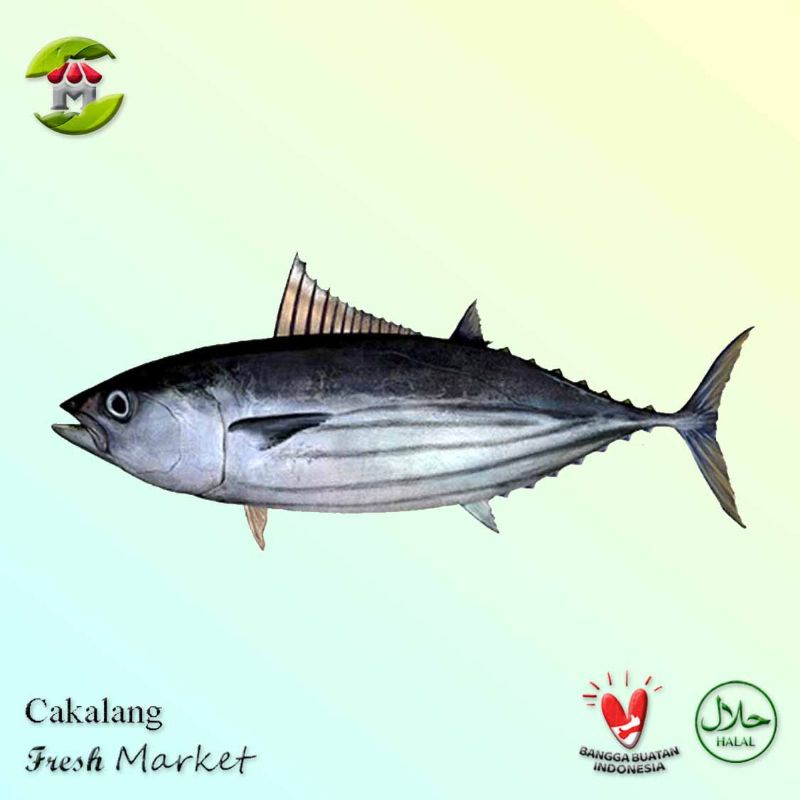 Ikan Cakalang 900gr - 1.000gr