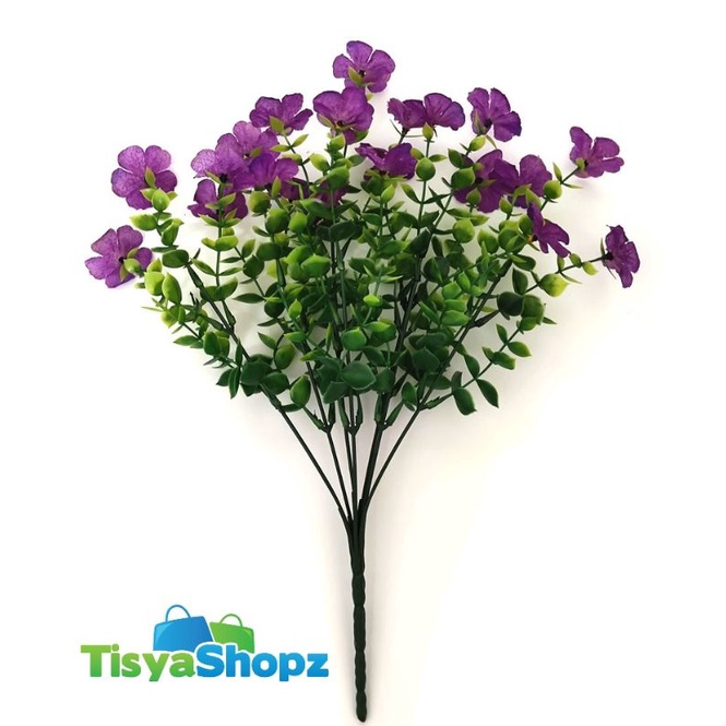 Bunga Violet Eucalyptus 7 cabang / Bunga Pinus Dolar Violet