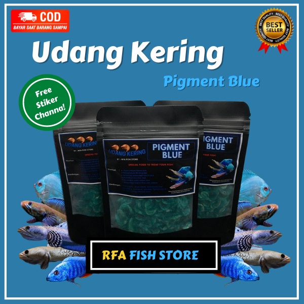 Udang kering Magot BSF GRADE A++ Pigment  Yellow Blue Red Pakan Ikan Predator Chaanna bukan el barca feed