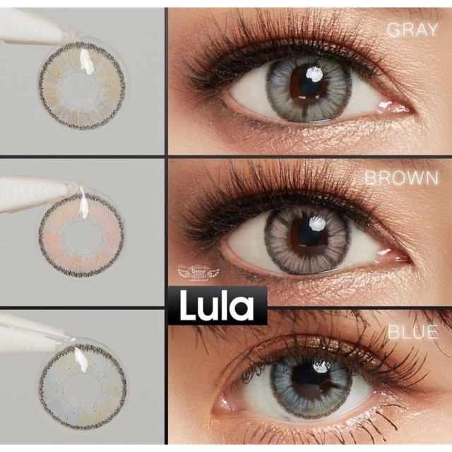 Softlens lula gray brown blue original korea