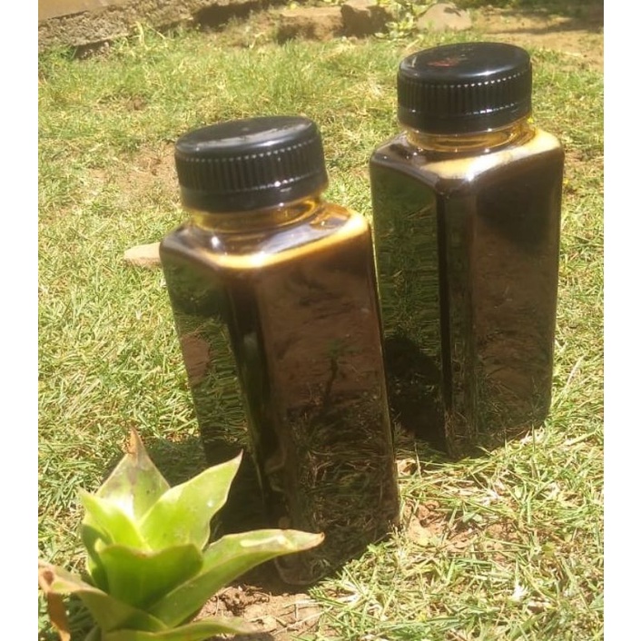 

Madu Hitam Pahit