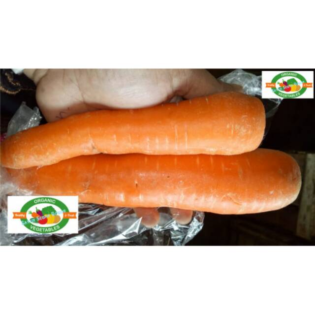 

Wortel Import / Per 1 Kg