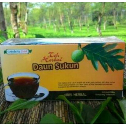 

Teh celup DAUN SUKUN Herbal isi 20 kantong HALAL sudah BPOM