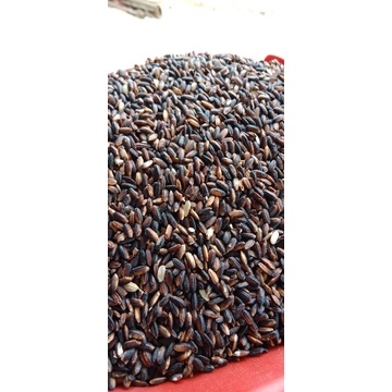 

beras hitam 10kg
