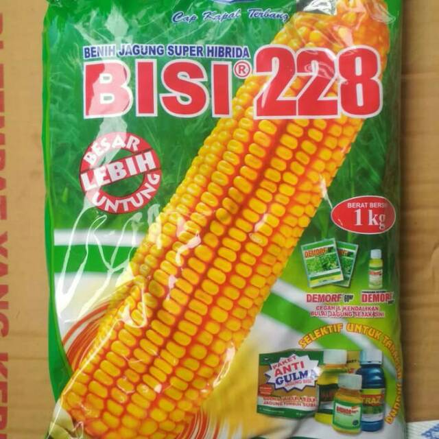 Bisi 228 Benih Jagung Isi 1kg Indonesia