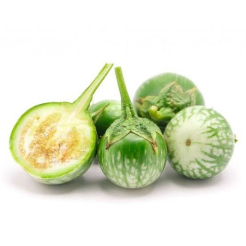 

Terong bulat/Terong hijau/Terong gelatik