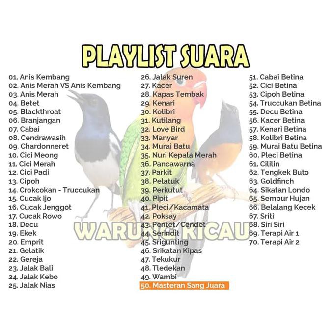 Terbaru Masteran Burung Digital Full Player Kicau Cililin