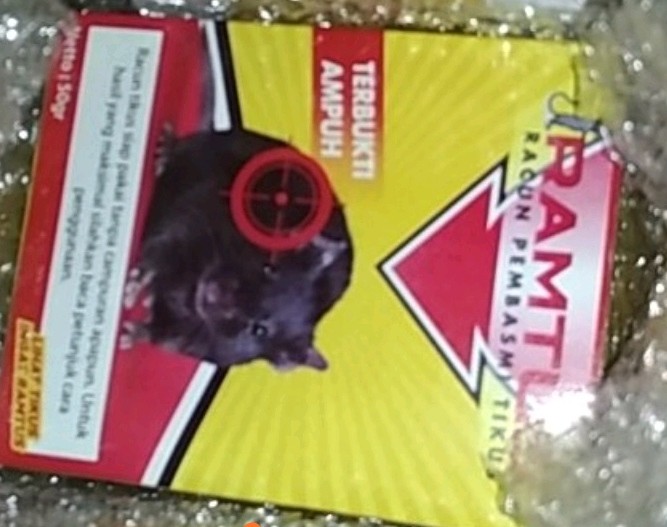 Ramtus Racun Tikus Ampuh Mati Kering Tidak Bau Pembasmi Curut Wirog Mencit Dirumah Di Mobil 4 Pack