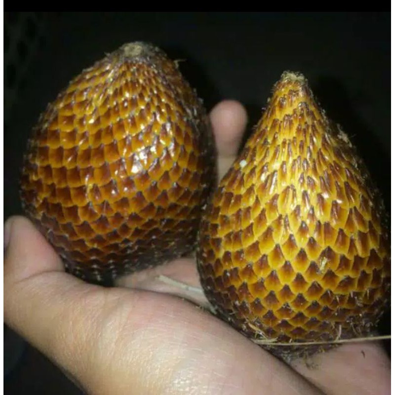 

salak pondoo per kg kak