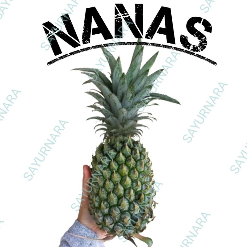 

NANAS