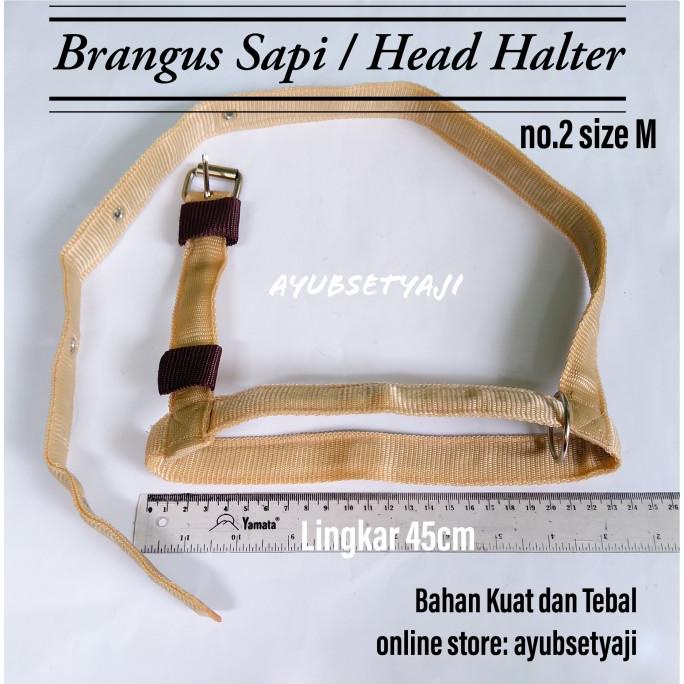 

((((()paling dicari] Brangus Sapi size M Head Halter sapi kambing Tali ikat kepala sapi