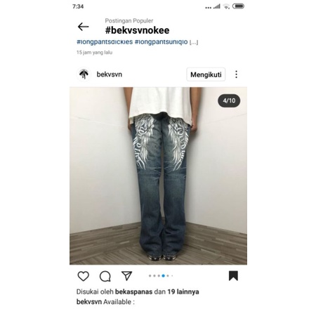 WILD LIFE JEANS PAINTED BACKPIRNT