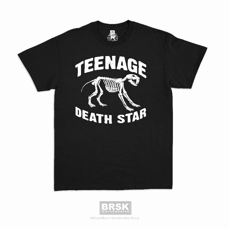 Teenage Death Star - Liar