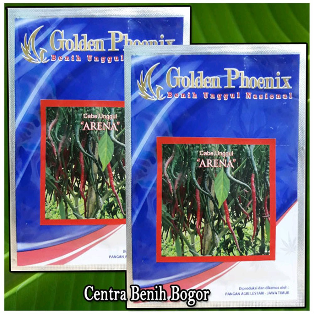 Benih Cabe kriting ARENA Berkualitas