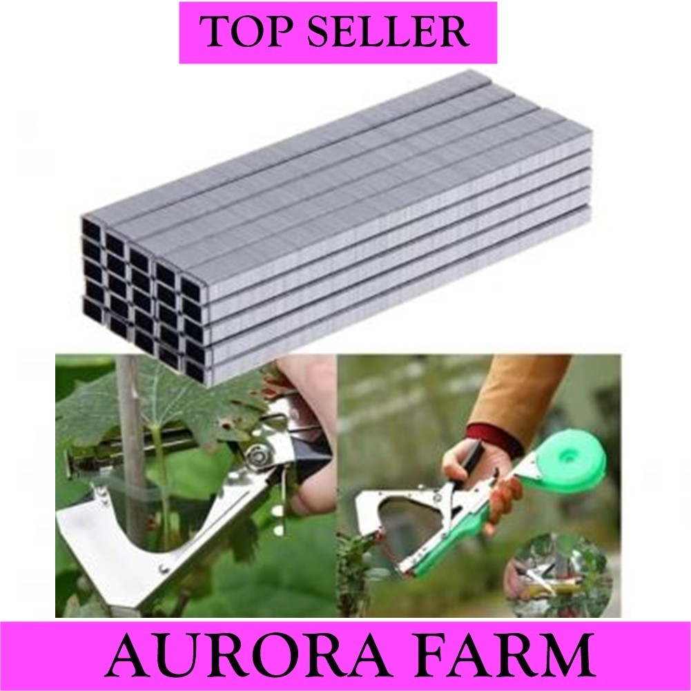 

Staples For Tape Tool == Isi Ulang Staples == Steples Tape Tool