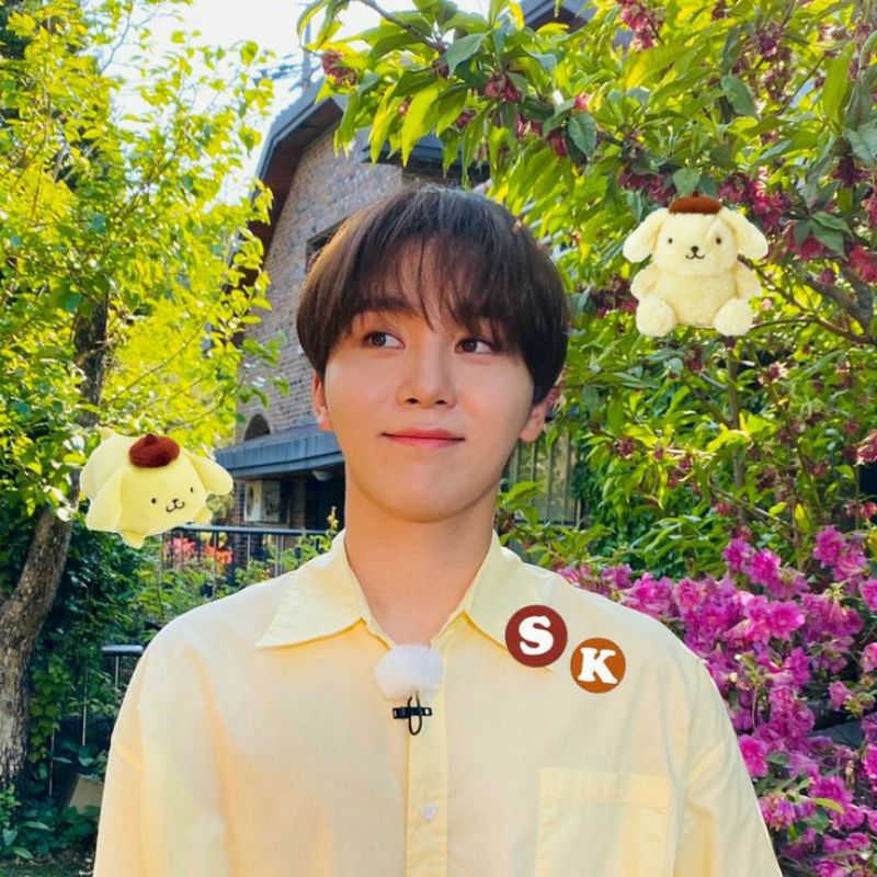 Seungkwan Fallin Flower & Incomplete