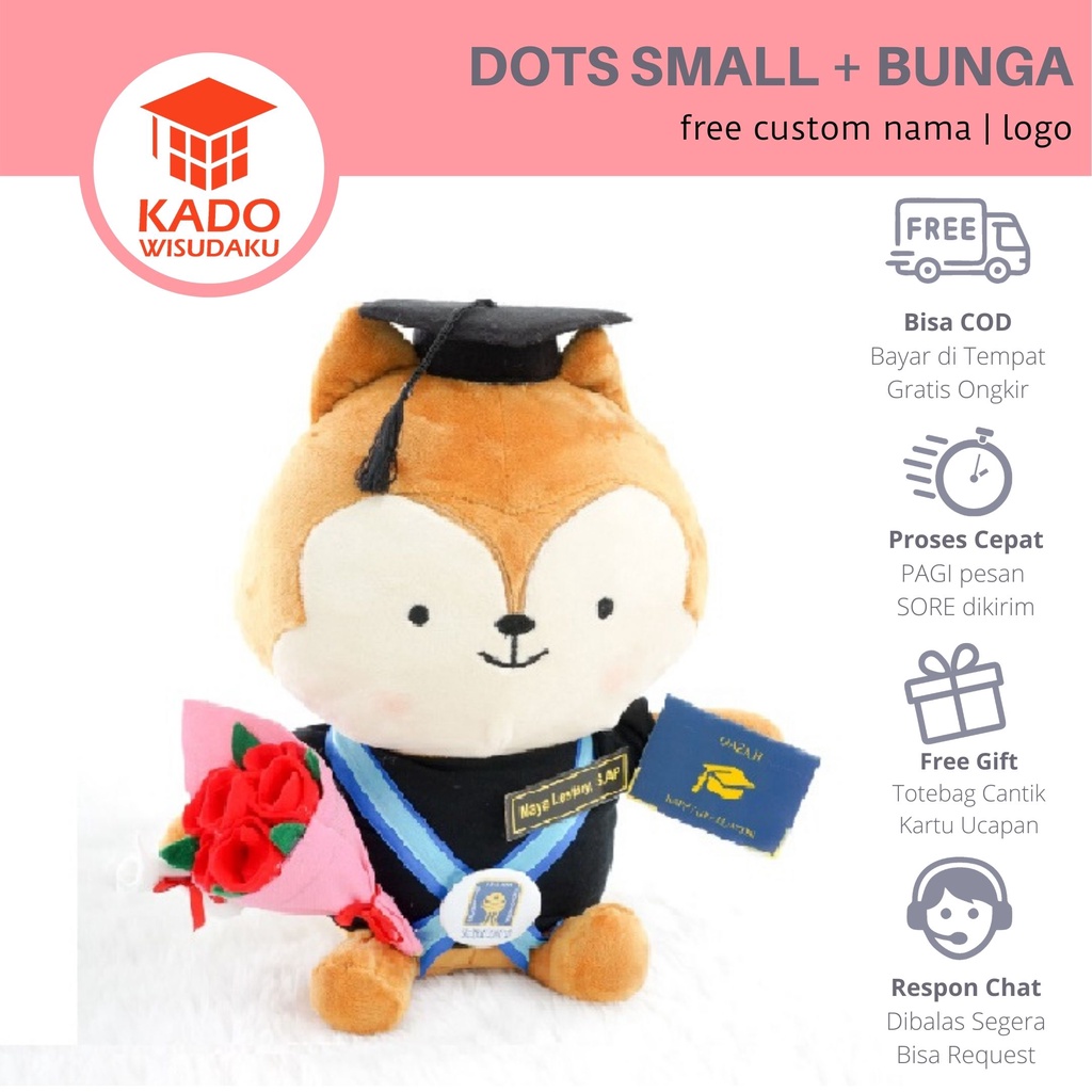 Boneka Wisuda Descendants Of The Sun / DOTS Small dengan Mini Bunga