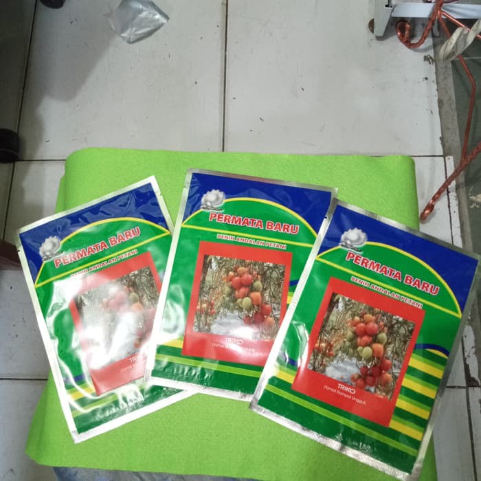 

Promo Benih Tomat Rampai Unggul TRIKO, 5 gr Diskon