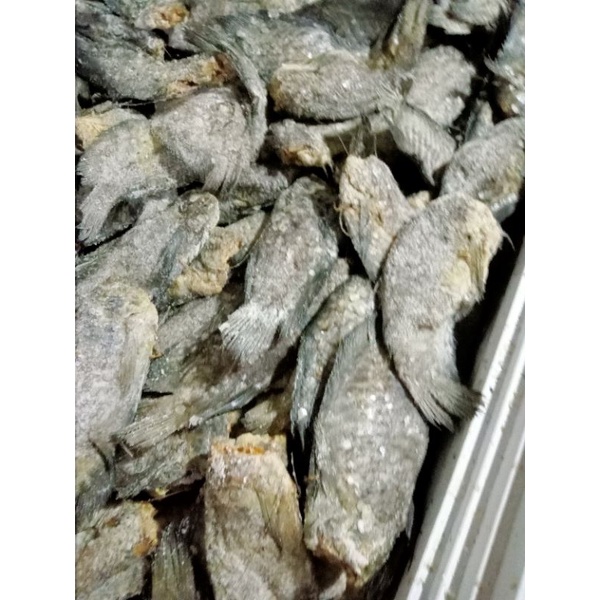 

ikan asin sepat