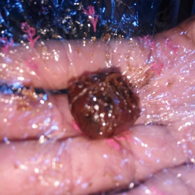 

Madumongso khas blitar enak tahan awet sampai 1 bulan