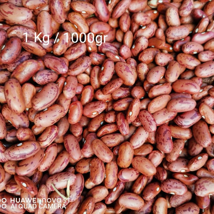 

54ekh Kacang Jogo / Kacang Es / Kacang Merah 1Kg / 1000Gr 60J