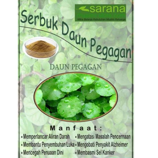 

Serbuk Bubuk Daun Pegagan Kemasan 500gr Asli Kaya Manfaat !!