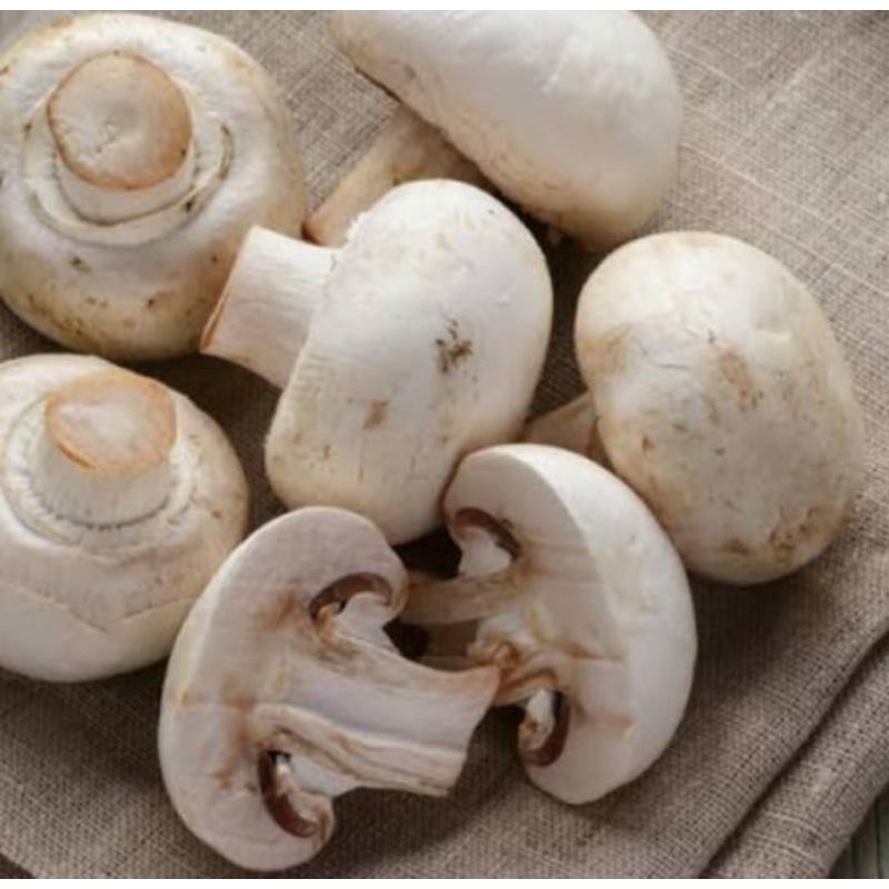 jamur champignon fresh /jamur kancing 500gr