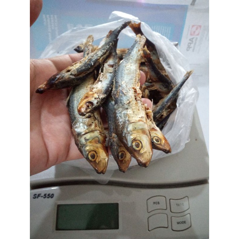 

ikan tandipang asli Sulawesi manado 100gram