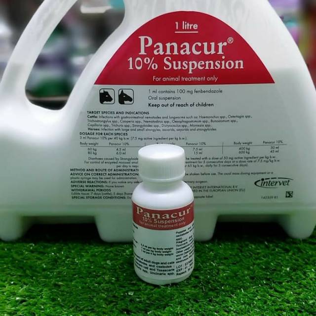 Jual Panacur 10 Obat Cacing Cair 20ml 1ml Contain 100mg Febendazole Indonesia Shopee Indonesia