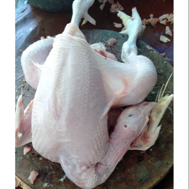 

Ayam Potong Kecil / 1ekor / sd 0.8kg