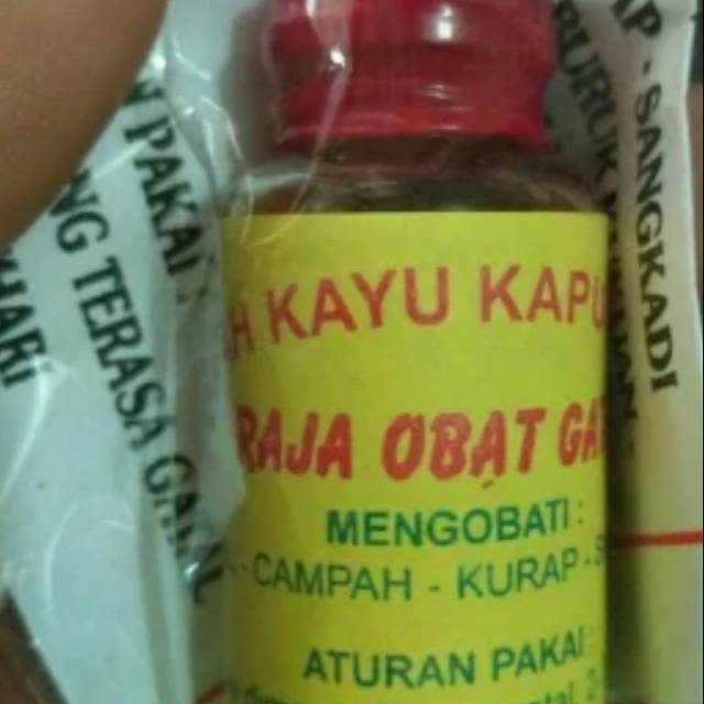 

Herbal kayu kapur kalimantan