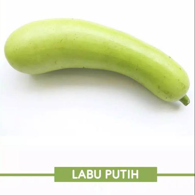 Labu Putih / Per Buah