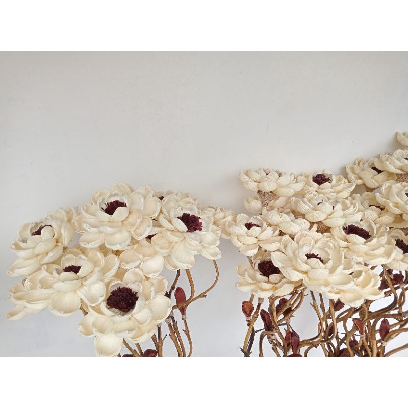 10 bambu ulir natural BUNGA KLOBOT PUTIH