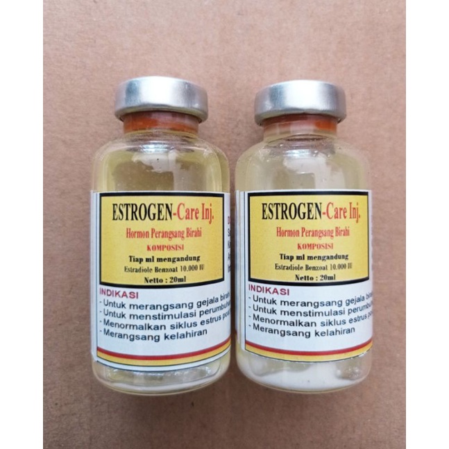 PEmacu BIRAHI hewan betina