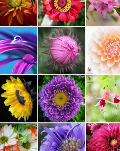 Amplop Thr Lebaran Motif Terbaru Termurah