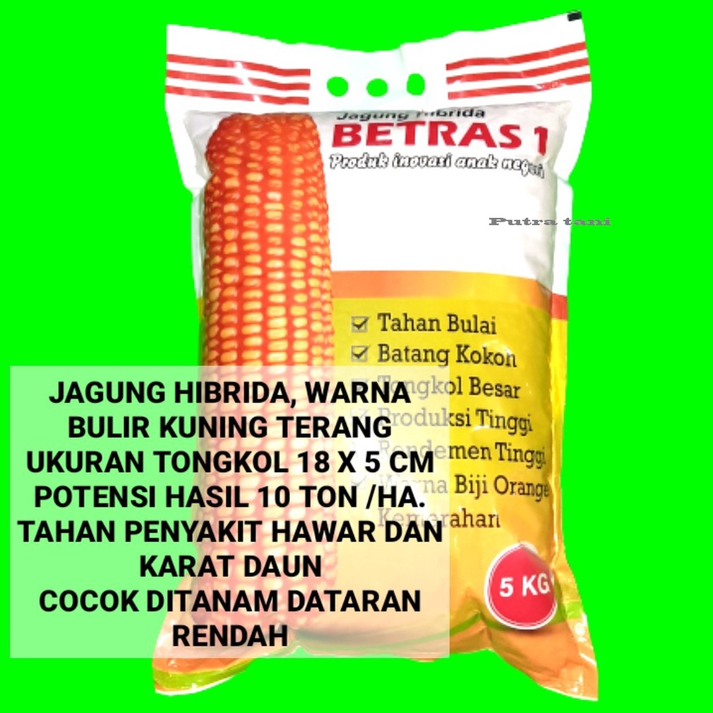 benih unggul termurah jagung hibrida BETRAS 1 bintang asia 5 KG betras 10 betras 4 betras 9
