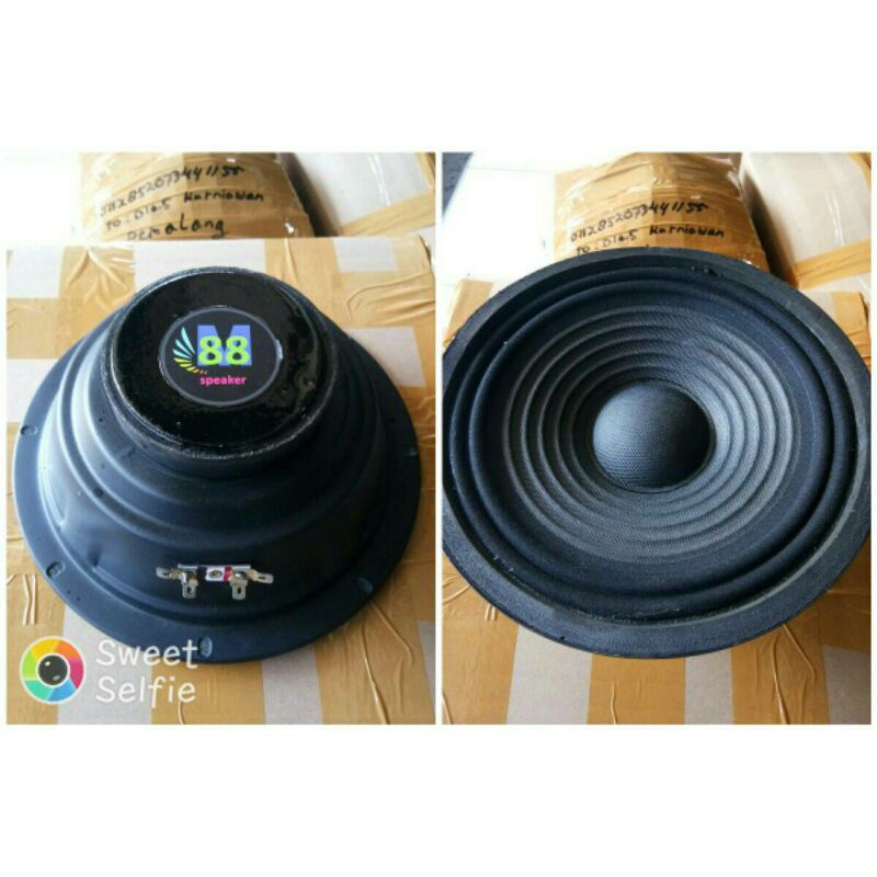 M88 speaker 8inci midle lantang