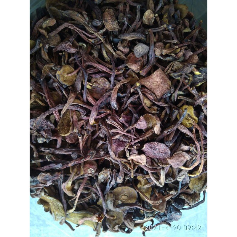 

Kulat/Jamur Tiung Kering 100g