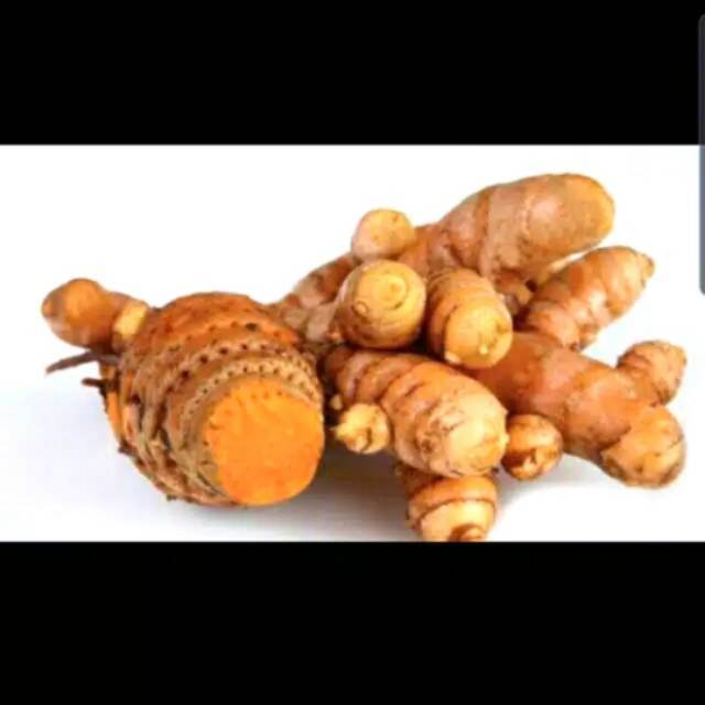 

herbal Temulawak segar 1kg untuk kekebalan tubuh