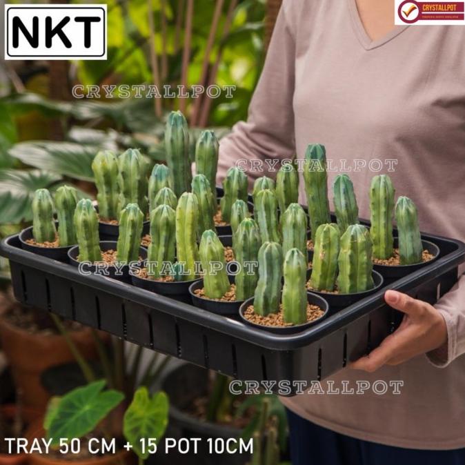 Sale 1 Set Tray + 15 Pcs Pot Hitam 10Cm | Tray Nkt 50Cm | Tray Semai Bibit  Bahan Plastik bibit hidr