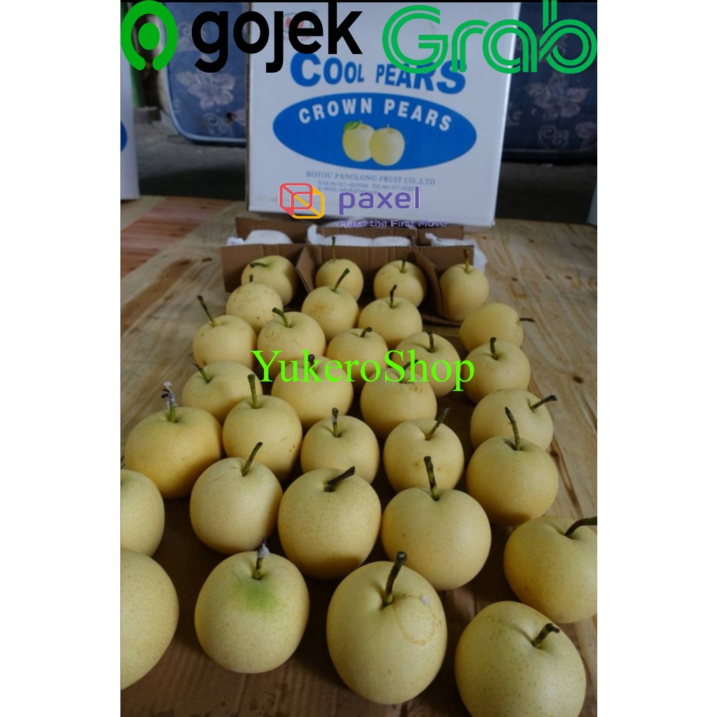 

Buah Pir Century / Pear Century 1kg
