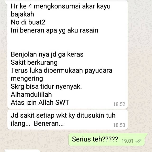 Bajakah asli obat kanker kering 100gram