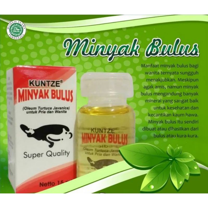 MINYAK BULUS KUNTZE BPOM ORI - KUNTZE MINYAK BULUS ORIGINAL BPOM