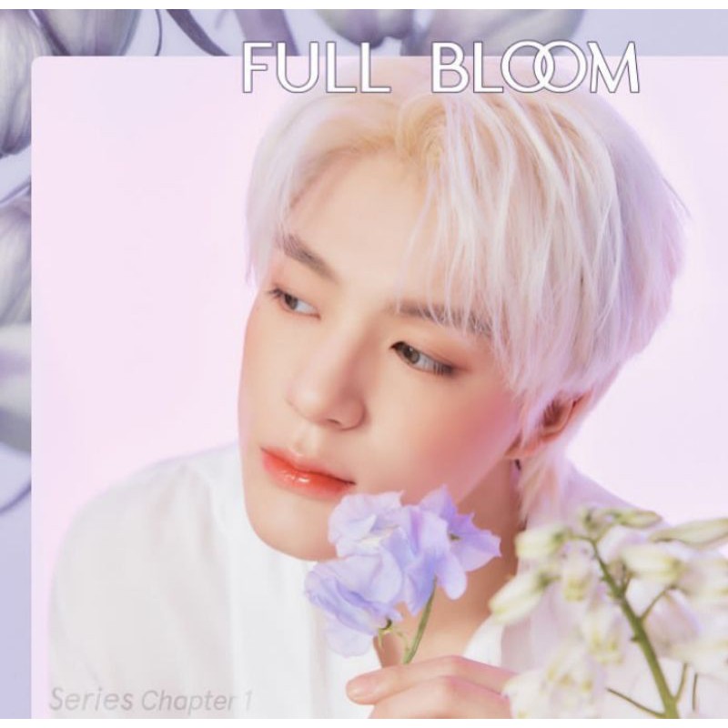 SHARING CANDYLAB V4 X NCT DREAM