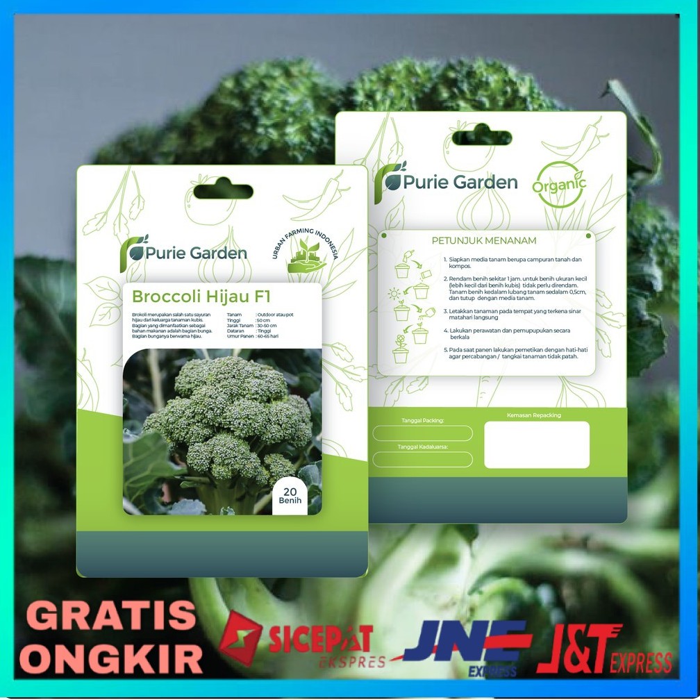BENIH BROKOLI HIDROPONIK BIBIT HYDROPONIK BENIH TANAMAN SAYUR BENIH SAYURAN BENIH SAYUR