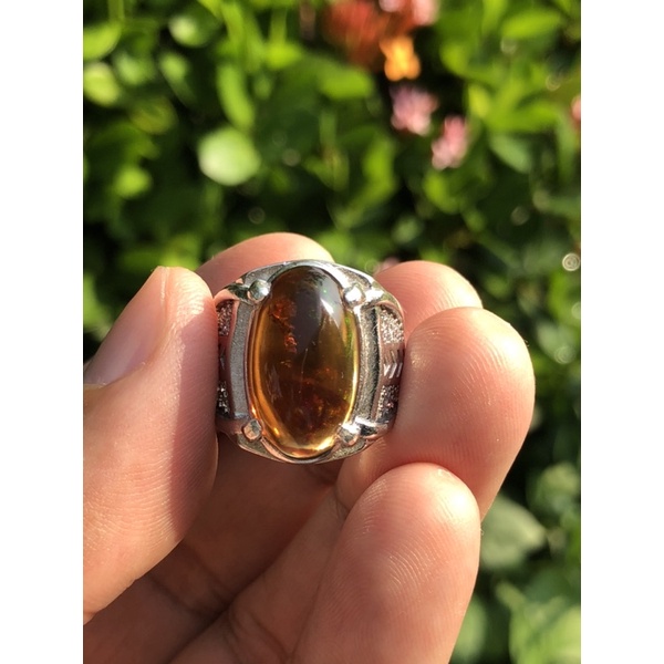 Brown Opal Kalimaya Teh Banten Jarong