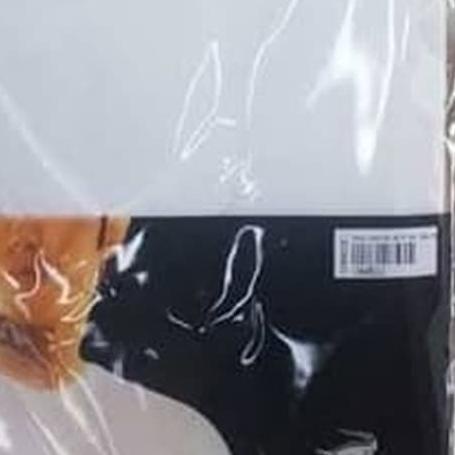 Kaos dalam Croile | kaos oblong pria Putih | O neck V neck