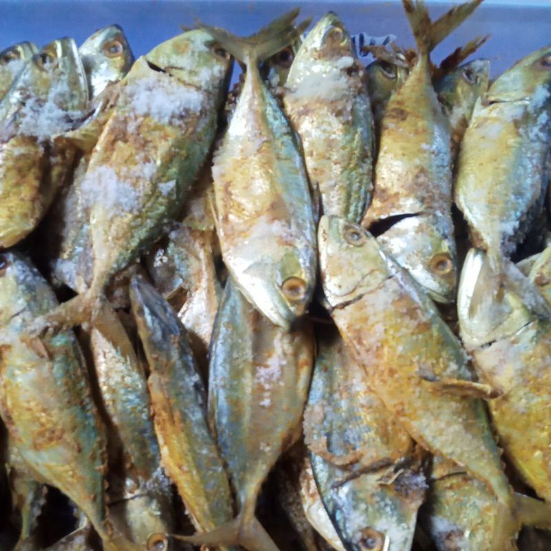 

Ikan asin gembung tanpa formalin dijamin حلل harga perkilo