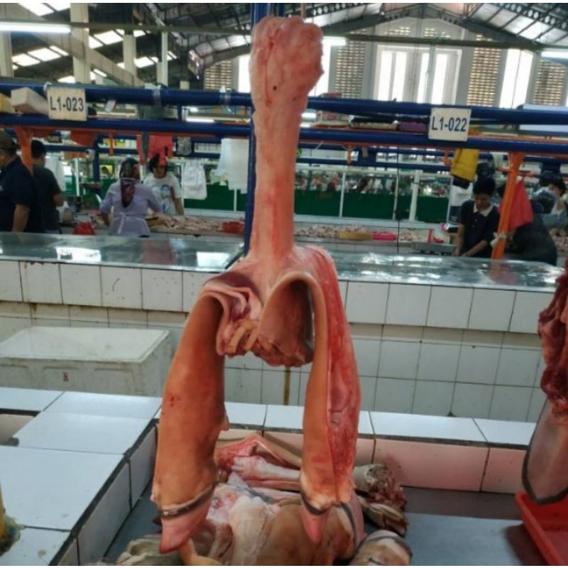 

tunjang/kikil kaki sapi dijamin fresh